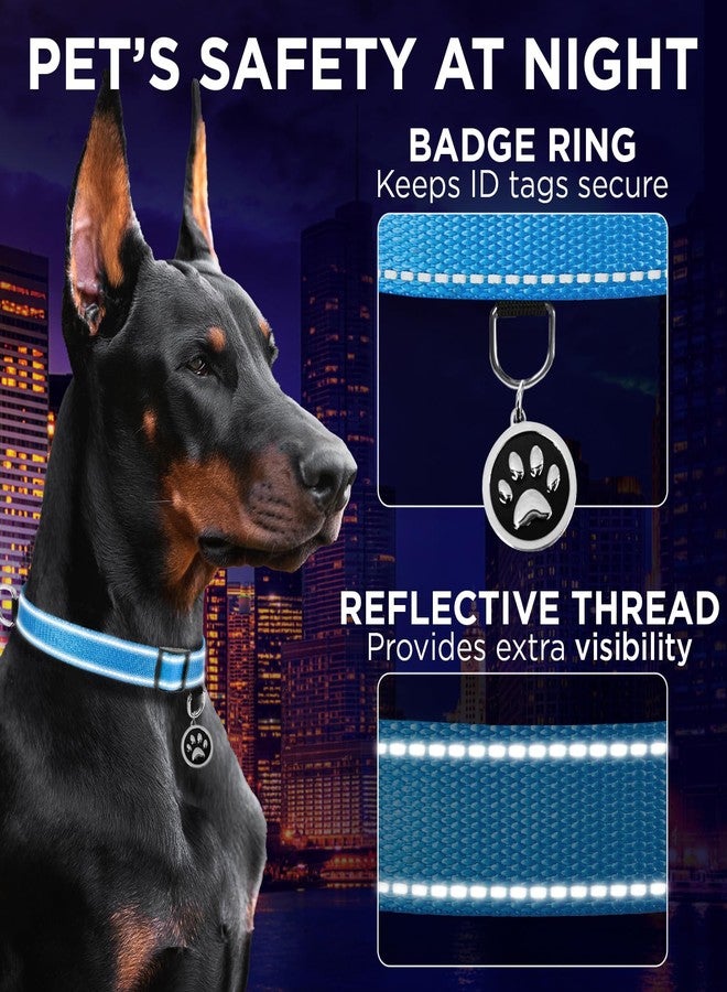 TECEUM Reflective Dog Collar - Sky Blue - XL - Extra Soft Padding - Basic Nylon Pet Collar - Quick Release Buckle - Fits Small, Medium and Large Dogs, Puppies, Cats - ESA & Service Dog Options - Image 4