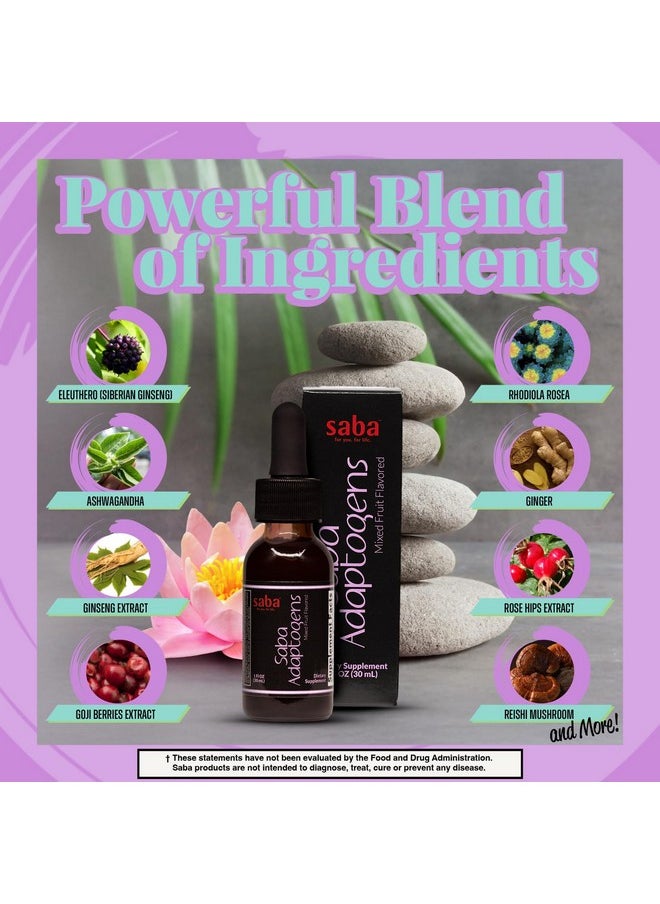 Saba Kombucha Saba Adaptogens - Super Concentrated - Eleuthero, Ginger, Rhodiola, Ginseng, Mushroom, Ginko, Acai - Supports Immune Response, Mood, Mental Performance & Fatigue -30 Servings  - Image 4