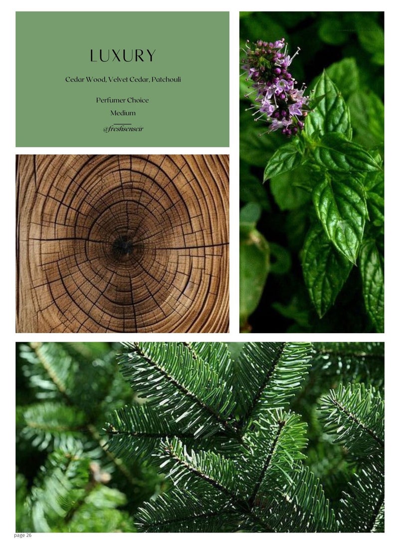 Fresh Sense Luxury Diffuser Aroma Oil – Cedarwood, Velvet Cedar & Patchouli Aromatherapy Blend for Oil Diffusers and Scent Machines – Made in UK – Medium Intensity Perfumer Choice Scent - Image 1