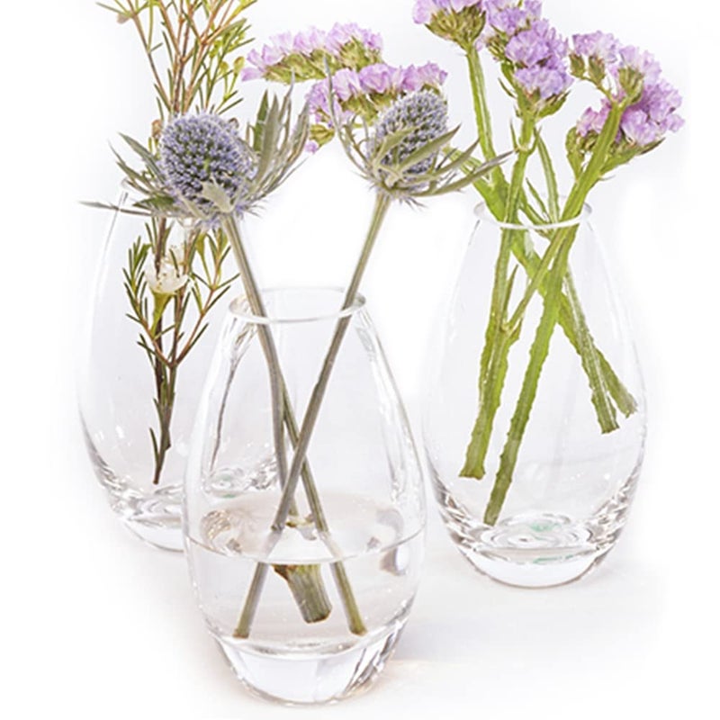 CHIVE â€˜Georgeâ€™ Glass Bottle Flower Vases â€” Set of 6 â€” Small, Elegant Clear Glass Bud Vases â€” Bulk Pack for Home Decor & Table Centerpieces â€” Shape 5 (Oval, 5â€ Tall, 2.5â€ Wide) - Image 2