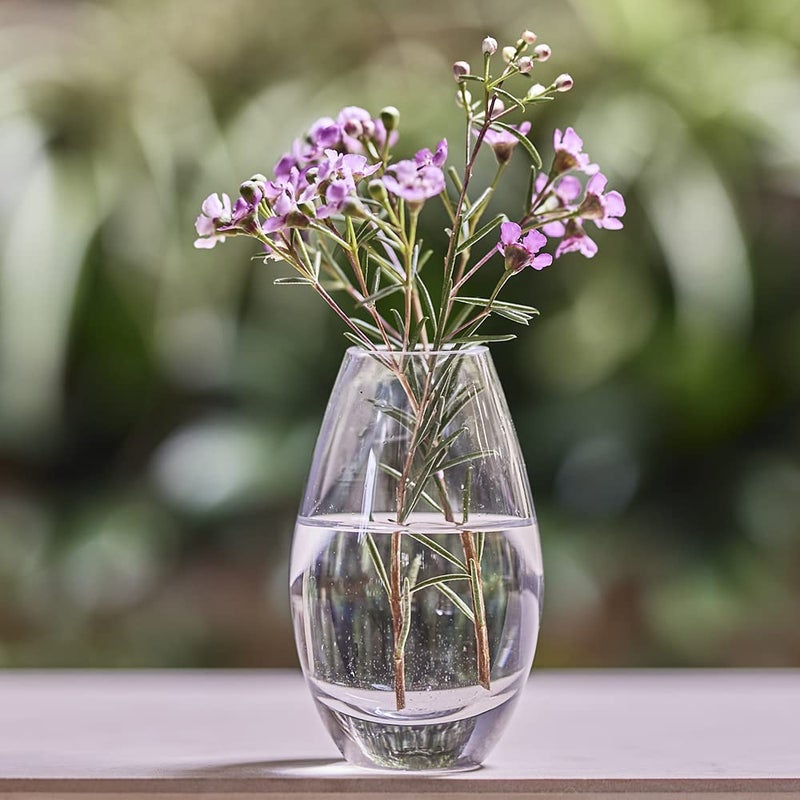 CHIVE â€˜Georgeâ€™ Glass Bottle Flower Vases â€” Set of 6 â€” Small, Elegant Clear Glass Bud Vases â€” Bulk Pack for Home Decor & Table Centerpieces â€” Shape 5 (Oval, 5â€ Tall, 2.5â€ Wide) - Image 5