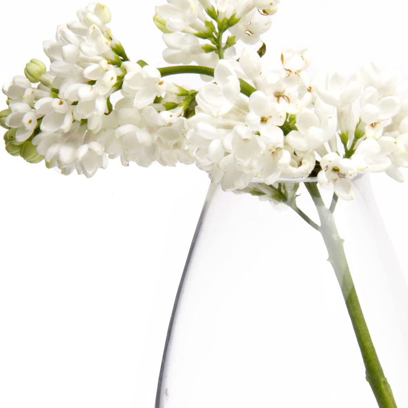 CHIVE â€˜Georgeâ€™ Glass Bottle Flower Vases â€” Set of 6 â€” Small, Elegant Clear Glass Bud Vases â€” Bulk Pack for Home Decor & Table Centerpieces â€” Shape 5 (Oval, 5â€ Tall, 2.5â€ Wide) - Image 4