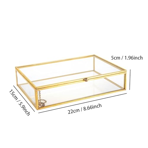 Feyarl Gold Glass Jewelry Trinket Box 5 x 7 Photo Cards Shadow Lidded Box Organizer Collection Display Case Decorative Keepsake Box for Home Deco (8.66 x 5.9 x 1.96inch) - Image 3