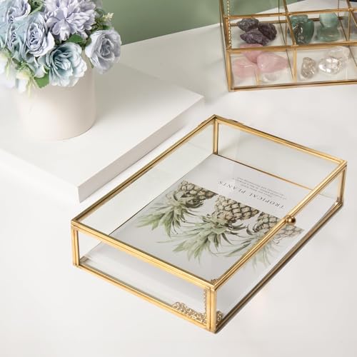 Feyarl Gold Glass Jewelry Trinket Box 5 x 7 Photo Cards Shadow Lidded Box Organizer Collection Display Case Decorative Keepsake Box for Home Deco (8.66 x 5.9 x 1.96inch) - Image 4