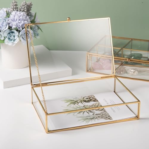 Feyarl Gold Glass Jewelry Trinket Box 5 x 7 Photo Cards Shadow Lidded Box Organizer Collection Display Case Decorative Keepsake Box for Home Deco (8.66 x 5.9 x 1.96inch) - Image 2