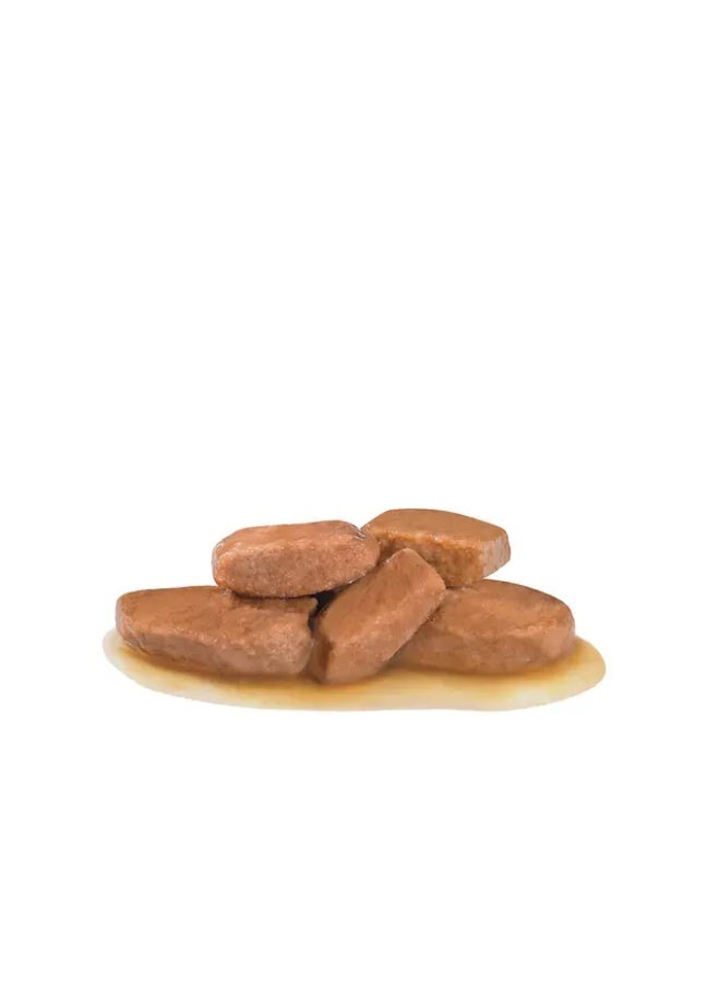 رويال كانين كيس طعام كلوي للكلاب من رويال كانين، 12 × 100 جم - Image 3