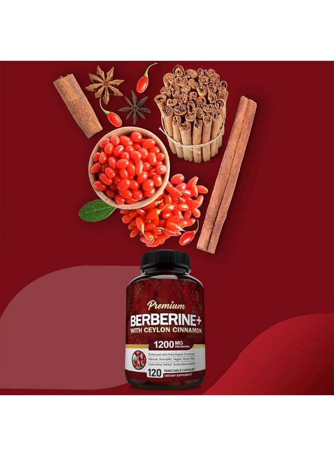 بريميم NutriFlair بيربيرين هيدروكلوريد ١٢٠٠ ملغ مع قرفة سيلان نقية لدعم الصحة الأيضية (١٢٠ كبسولة نباتية) - Image 2