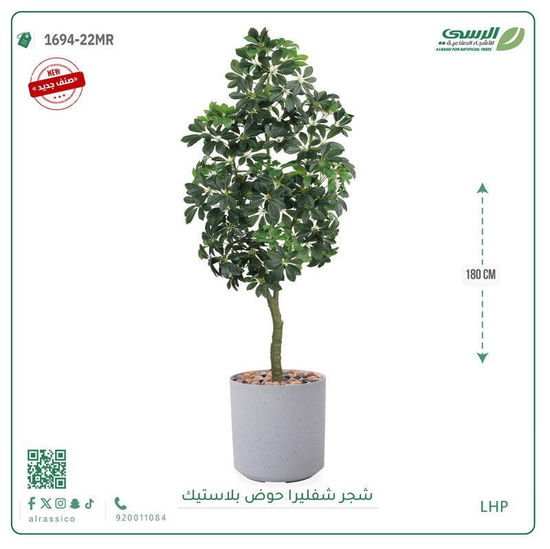 Alrassi Schefflera Tree in Cylindrical Plastic Pot 180 cm - Image 3