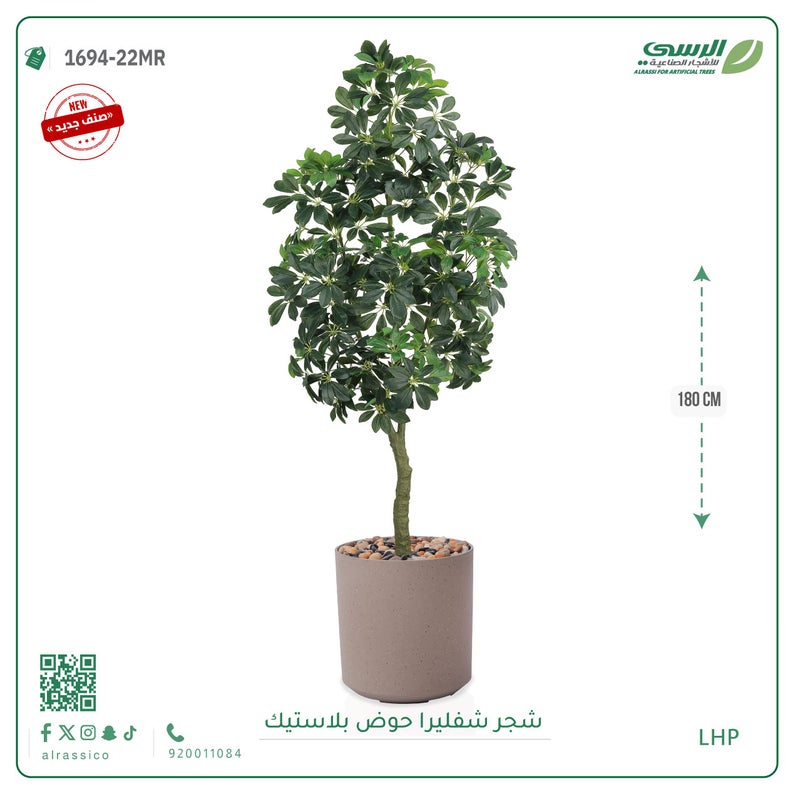 Alrassi Schefflera Tree in Cylindrical Plastic Pot 180 cm - Image 2