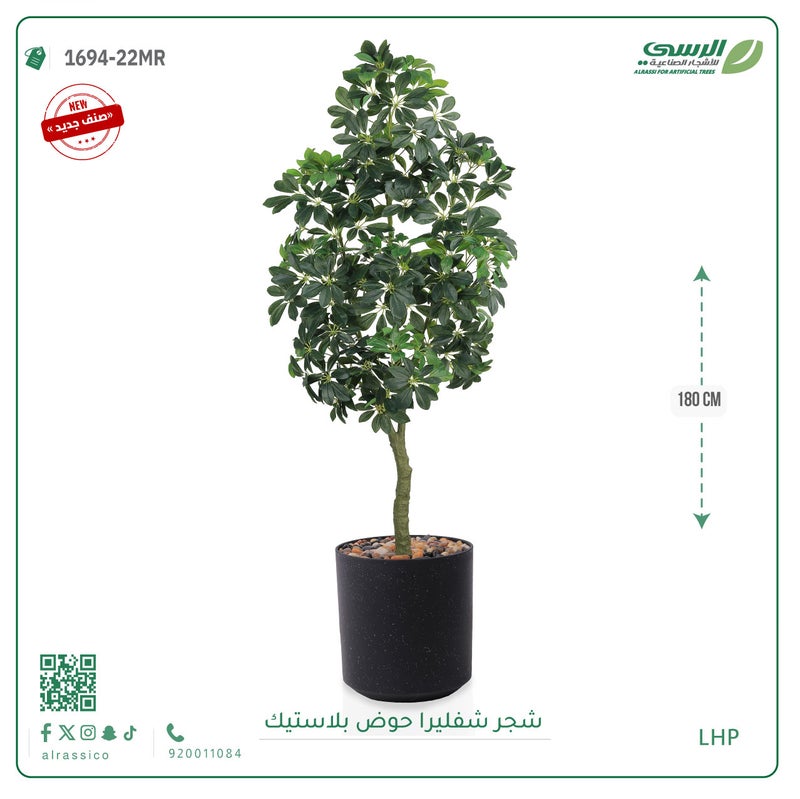 Alrassi Schefflera Tree in Cylindrical Plastic Pot 180 cm - Image 4