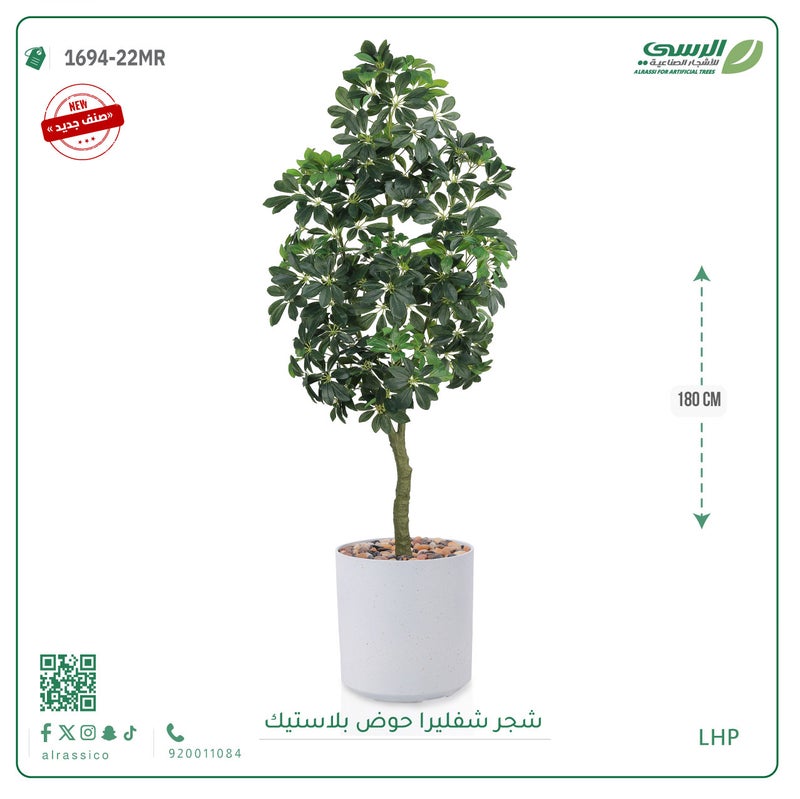 Alrassi Schefflera Tree in Cylindrical Plastic Pot 180 cm - Image 1