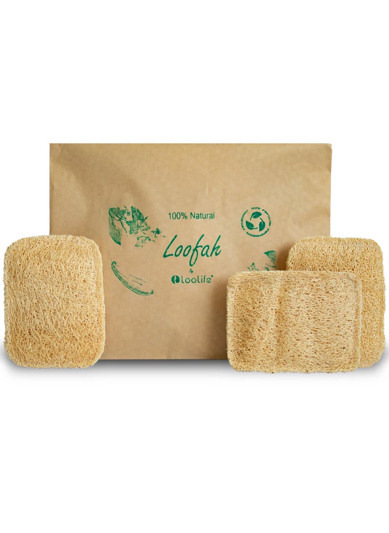 LooLife - Natural Loofah Kitchen Sponge (3 Pack) - Natural Sponges for Dishes - Eco Friendly and Compostable Sponges - Plant Based Kitchen Dish Biodegradable Sponge - Image 1