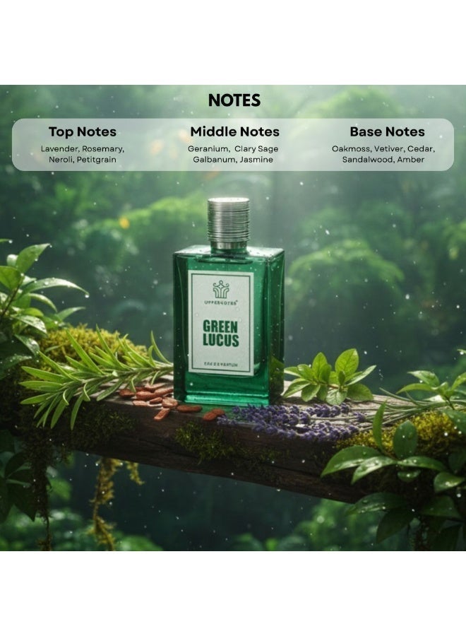 UpperNotes Green Lucas EDP Unisex 80ml | Lavender Neroli Jasmine Vetiver Oakmoss Sandalwood | Fresh Aromatic Green Long Lasting Daily Fragrance UAE - Image 5