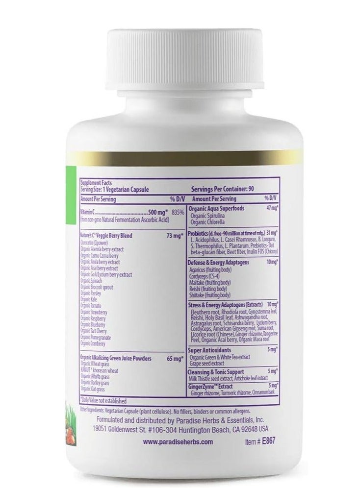 بارادايس هيربس Earth's Blend، قاعدة الأطعمة الفائقة بفيتامين C من البروبيوتيك والخضر القلوية العضوية، 90 كبسولة نباتية - Image 2