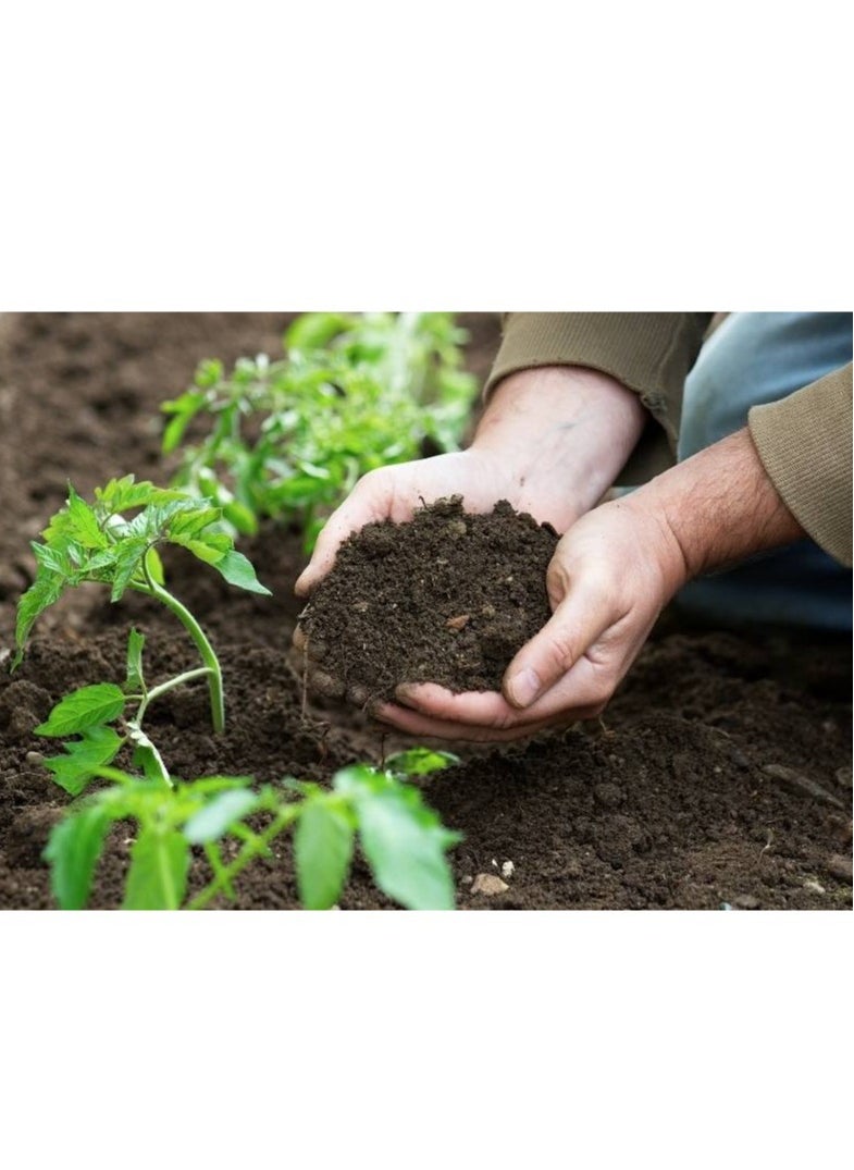 ڤسيل24 Sphagnum Peat Moss الأسود عالي الاحتفاظ بالمياه، محسن التربة العضوي  - Image 2