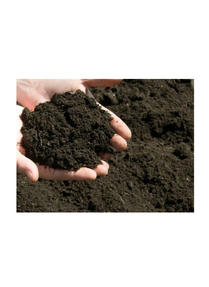 ڤسيل24 Sphagnum Peat Moss الأسود عالي الاحتفاظ بالمياه، محسن التربة العضوي  - Image 3