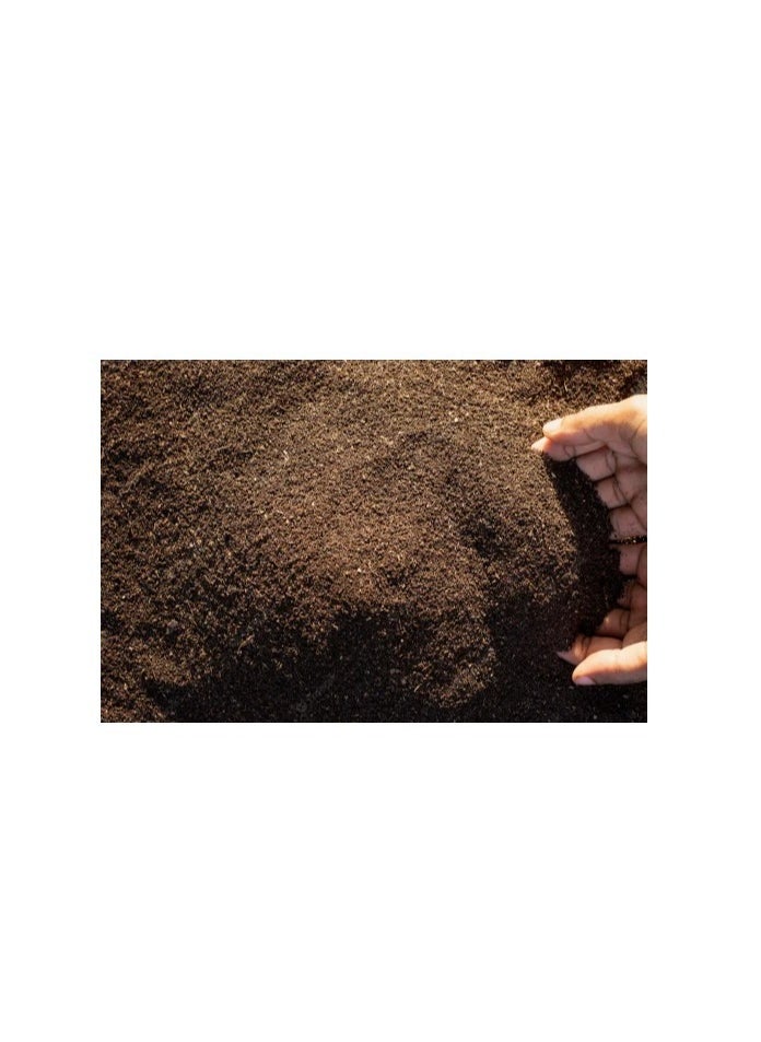 ڤسيل24 Sphagnum Peat Moss الأسود عالي الاحتفاظ بالمياه، محسن التربة العضوي  - Image 5