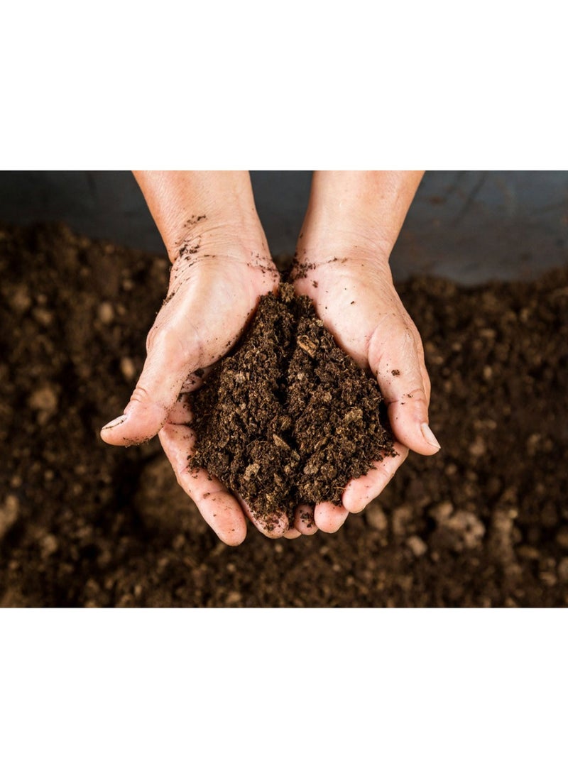 ڤسيل24 Sphagnum Peat Moss الأسود عالي الاحتفاظ بالمياه، محسن التربة العضوي  - Image 4