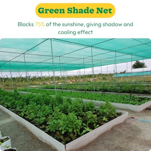 UGAOO Green Shade Net for Garden & Balcony, 75 Percent Shade Green Mesh Net for Plants, Sunlight Protection Balcony Cover, Multipurpose Agro Use (10 ft x 20 ft) - Image 2