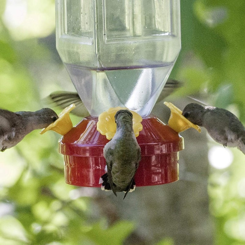 Perky-Pet 201 Lantern Hummingbird Feeder - 18 oz Capacity with Easy-Refill Top - Image 5