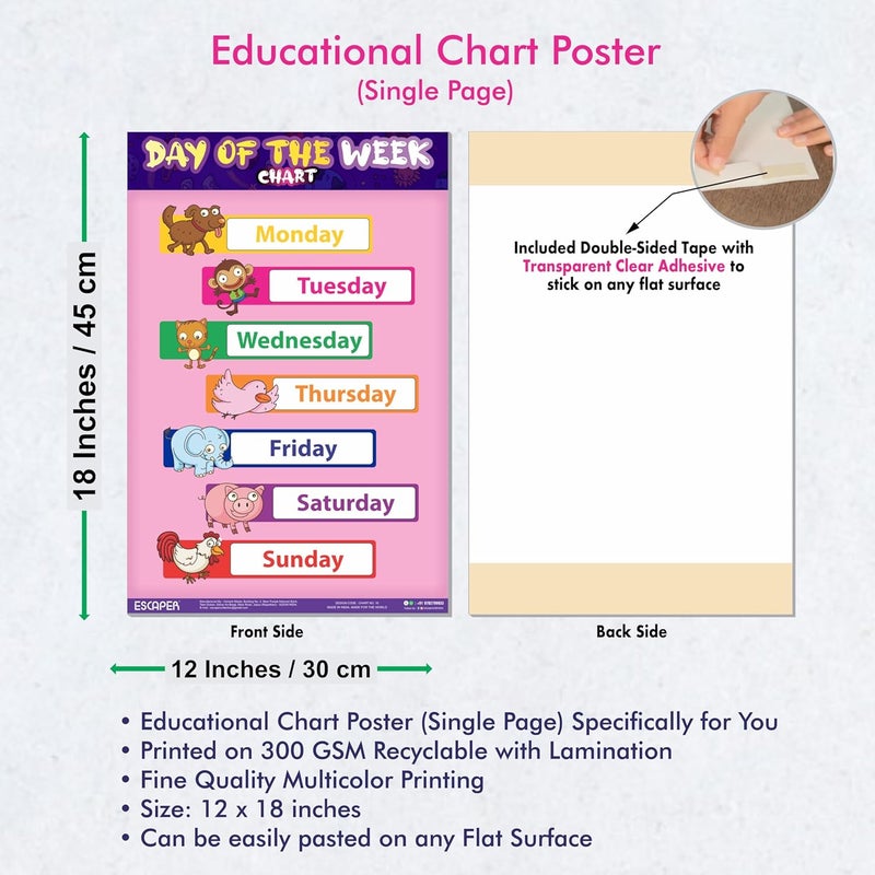 ESCAPER رسوم بيانية تعليمية لأيام الأسبوع للأطفال، رسوم بيانية لتعلم الأطفال (11.5 × 17.5 بوصة)، مواد دراسية للأطفال، كتب تعليمية للأطفال، ملصقات تعليمية - Image 3