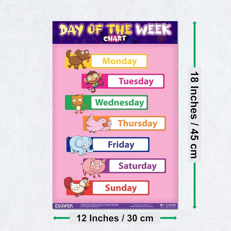 ESCAPER رسوم بيانية تعليمية لأيام الأسبوع للأطفال، رسوم بيانية لتعلم الأطفال (11.5 × 17.5 بوصة)، مواد دراسية للأطفال، كتب تعليمية للأطفال، ملصقات تعليمية - Image 2