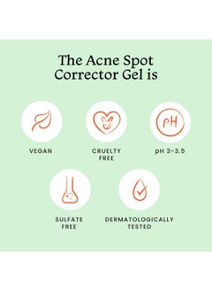 2% Salicylic Acid Acne Spot Corrector Gel, Reduces Pimples Overnight And Prevents Acne Scars, 2% Azelaic Acid & 3% Glycolic Acid, Men&Women -15Ml - pzsku/Z308695E26C916BE90D9EZ/45/_/1730799063/f98c425b-8ef1-4bfb-ba1e-d0acd5831d0c