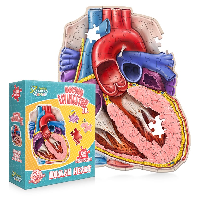 Genius Games Human Heart Anatomy Floor Puzzle Genius Games Doctor Livingston Jr Anatomy Toy Kids Puzzles Science Toys Human Heart Model 100 Piece Jigsaw Puzzles for Kids Toddlers Teens - Image 2