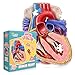 Genius Games Human Heart Anatomy Floor Puzzle Genius Games Doctor Livingston Jr Anatomy Toy Kids Puzzles Science Toys Human Heart Model 100 Piece Jigsaw Puzzles for Kids Toddlers Teens - Image 3