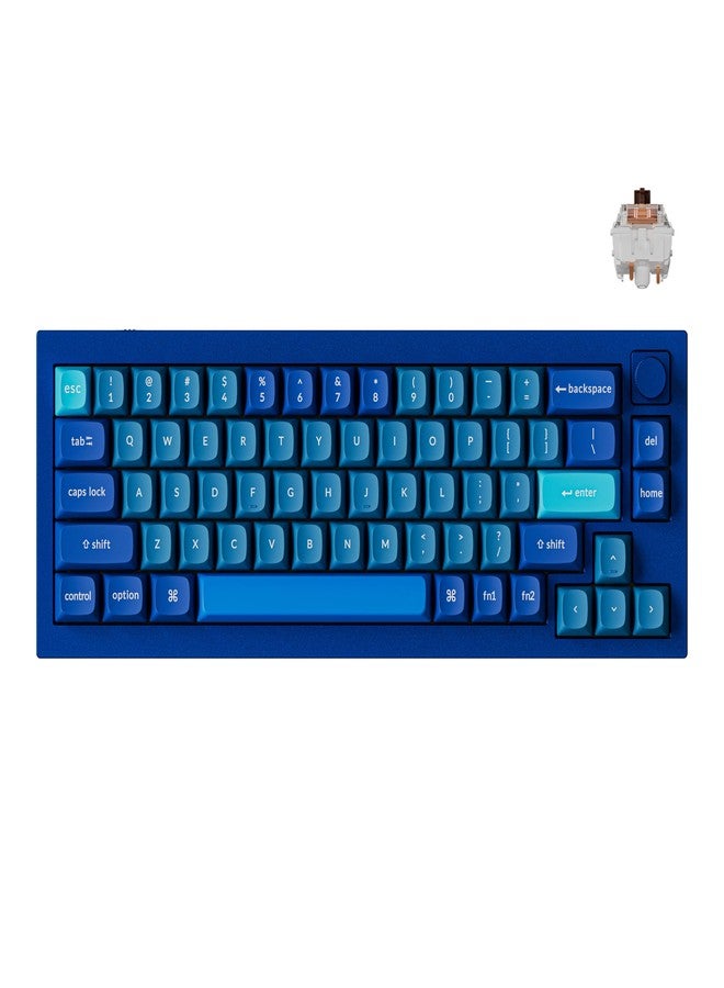 Keychron Q2 Wired Custom Mechanical Keyboard Knob Version, 65% Layout QMK/VIA Programmable Macro with Hot-swappable Gateron G Pro Brown Switch Double Gasket Compatible with Mac Windows Linux (Blue) - Image 1