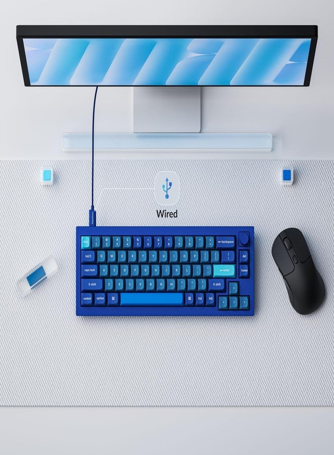 Keychron Q2 Wired Custom Mechanical Keyboard Knob Version, 65% Layout QMK/VIA Programmable Macro with Hot-swappable Gateron G Pro Brown Switch Double Gasket Compatible with Mac Windows Linux (Blue) - Image 2