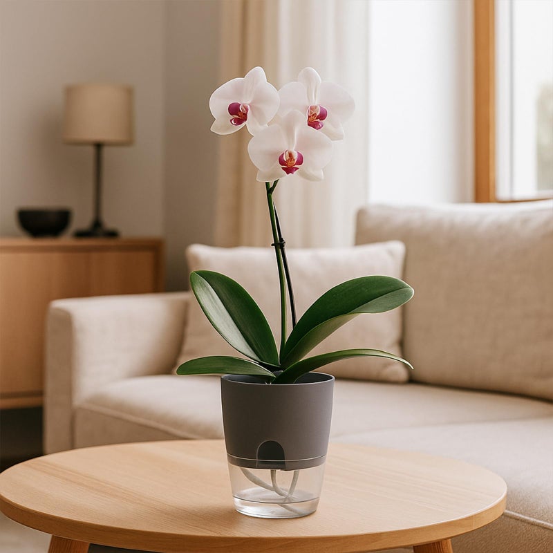 Planterhoma 12 Pack Self Watering Pots for Indoor Plants, PlanterHoma 3.2 Inch Plant Pot Plastic Self Watering Planter for Orchid, African Violet, Mini Clear Flower Pots with Drainage Holes and Wicking Rope, Grey - Image 2
