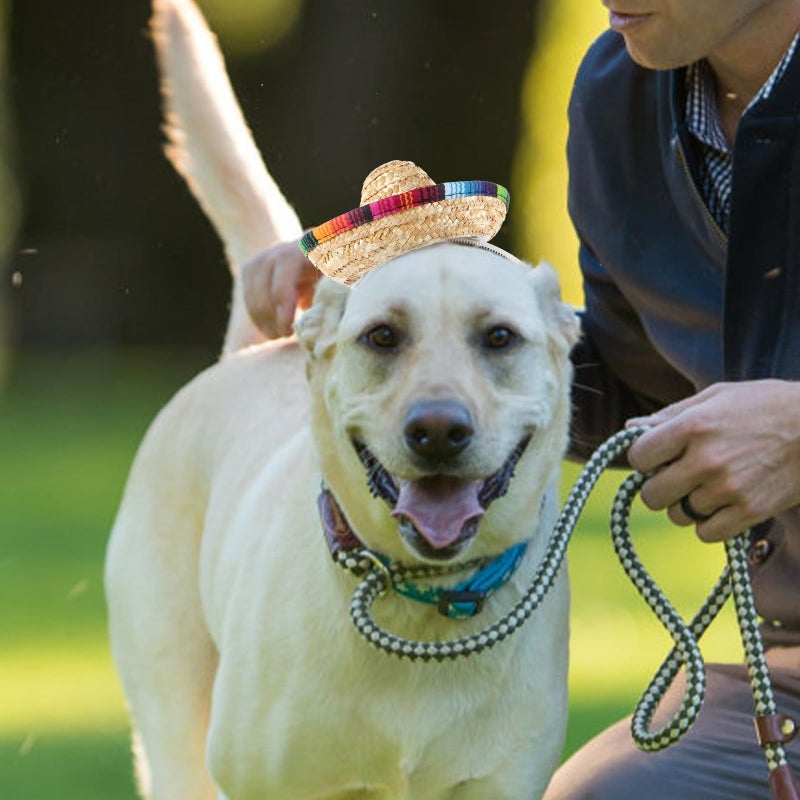 Beaupretty Straw Hat Pet Headband 16cm Diameter Festive Dog Costume Photo Prop - Image 5