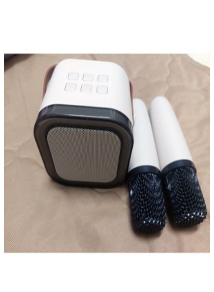 Bluetooth speaker with two microphones 