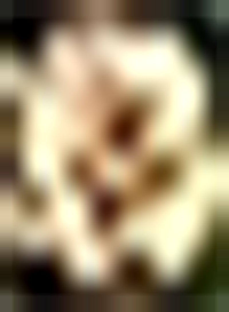 GGOOT 8pcs Gele Woestijnroos Zaden Exquisite Aroma Flower Cluster Boeket Ongelooflijk Hoogwaardig Tuinieren Landschap Voegt kleur Toe aan tuindecoratie Vlinders en bijen aantrekken - Image 1