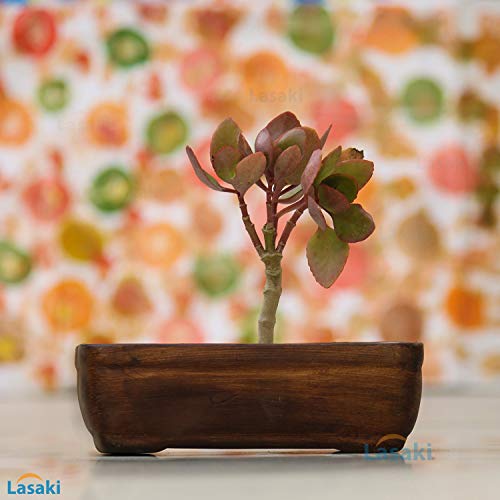 Lasaki Rectangle Shaped Antique Brown Ceramic Planter with Antique Tray | Mini Flower Plant Container/gamla for Indoor, Outdoor, Garden Decoration, Balcony & Office (rec003) - Image 5