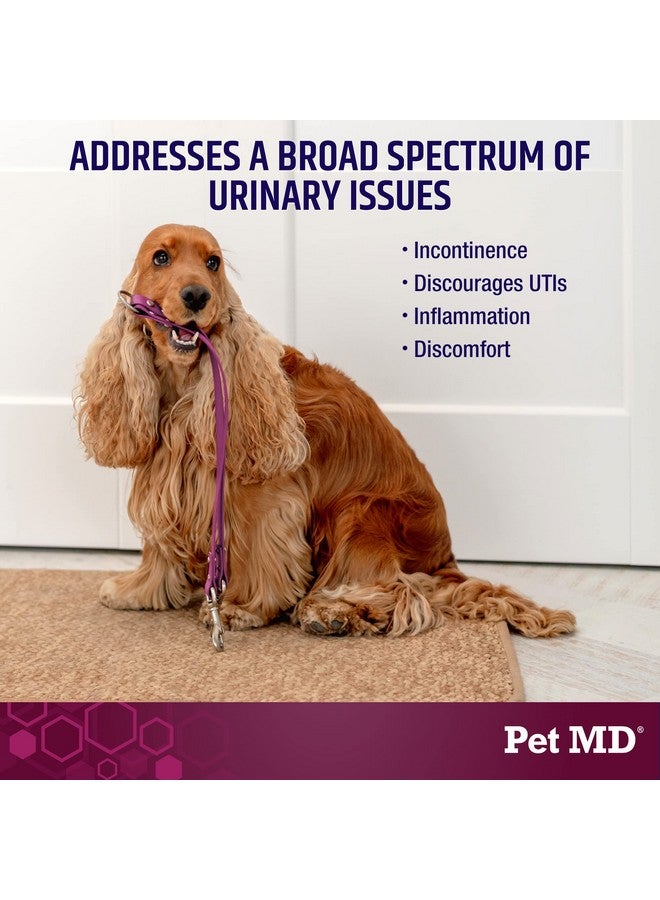 بيت إم دي مكمل دعم المثانة بلس التوت البري للكلاب - دعم التحكم في المثانة وصحة المسالك البولية - يساعد في تخفيف التهاب المسالك البولية وسلس البول لدى الكلاب - لدغات جذر البطاطا البرية والتوت البري للمثانة للكلاب - 60 قطعة - Image 2