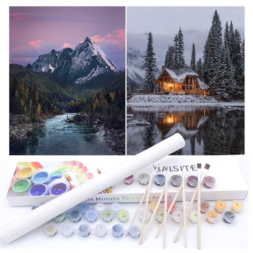 BAISITE Paint by Numbers Kit for Adults Beginners,12" Wx16 L 2 Pack Canvas for Painting Kits for Adults in Colorful Box-PBN219-220 - Image 1