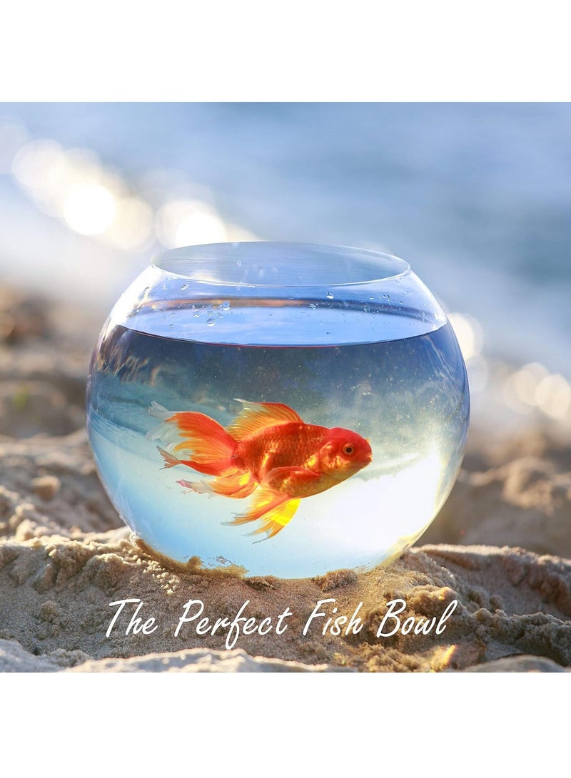 هومستر مزهرية وعاء زجاج بتصميم فقاعة ارتفاع 6 انش وعرض 8 انش، بسعة 3/4 جالون تقريبا) | سمك بخيارات متعددة زجاجي دائري زهور كروية مركزية - Image 3