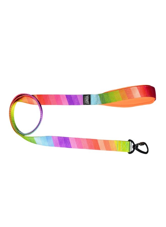 Plushmate x Indian Hound Durable Nylon Printed Dog Leash with Strong Hook & Super Soft Neoprene Padded Handle for Walking, Running, Training of Small Medium Large Dogs (5ft Long, L, Rainbow) - Image 1