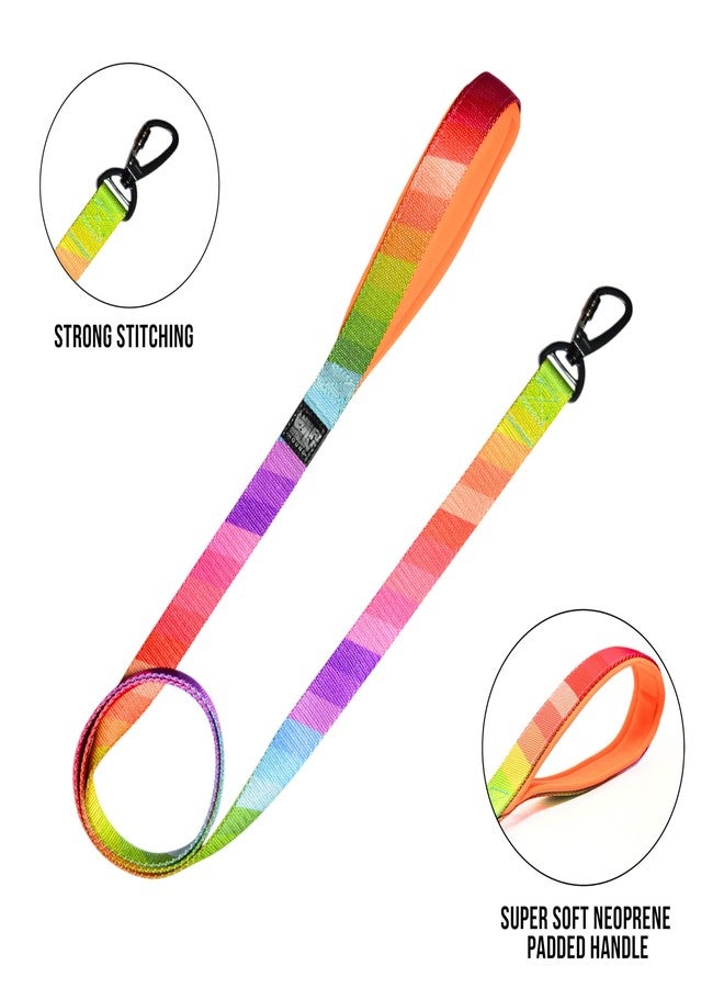 Plushmate x Indian Hound Durable Nylon Printed Dog Leash with Strong Hook & Super Soft Neoprene Padded Handle for Walking, Running, Training of Small Medium Large Dogs (5ft Long, L, Rainbow) - Image 2