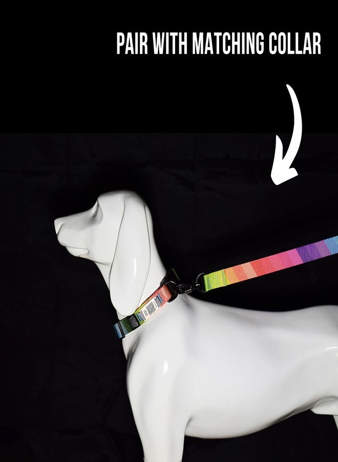 Plushmate x Indian Hound Durable Nylon Printed Dog Leash with Strong Hook & Super Soft Neoprene Padded Handle for Walking, Running, Training of Small Medium Large Dogs (5ft Long, L, Rainbow) - Image 4
