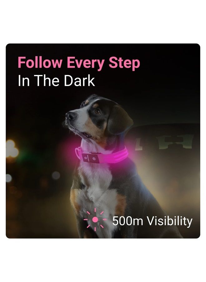 Tractive LED Light Up Dog Collar USB Rechargeable Waterproof (Pink) - Image 1