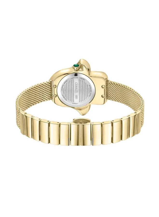 CERRUTI 1881  Cerruti 1881 Ladies Yellow Gold Plated Green Mother of Pearl Dial Watch for Women | Best Price UAE