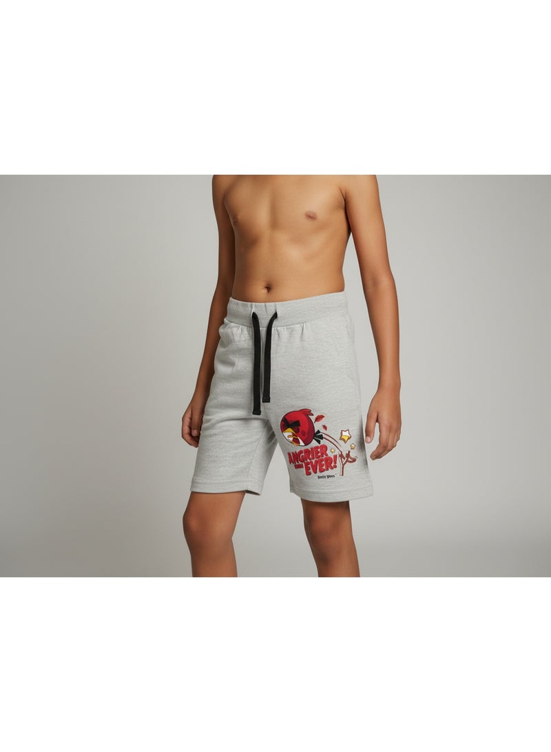 Angry Birds شورتات الأولاد من أنغري بيردز - Image 4