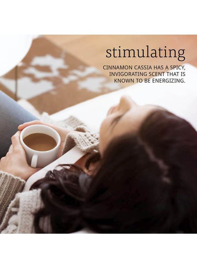 now Pure Cinnamon Cassia Essential Oil - Image 4