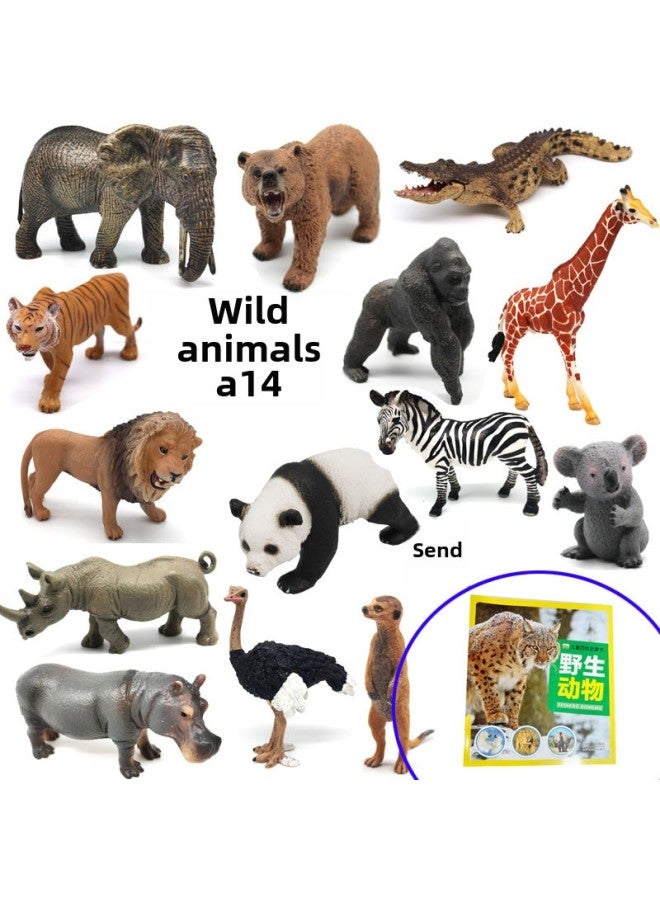 Animal Model Special For Teaching And Education Animal Model Kangaroo Elephant Lion Tiger Deer Ostrich Wolf-Color:Wildlife Gift Set With Book Storage Box  - Image 1
