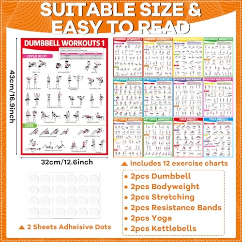 gisgfim 12PCS Workout Posters for Home Gym Dumbbells Bodyweight Stretching Resistance Bands Yoga Kettlebells Exercise Chart Full Body Workout Poster Set Muscle Engagement Chart Garage Gym Decor - Image 3