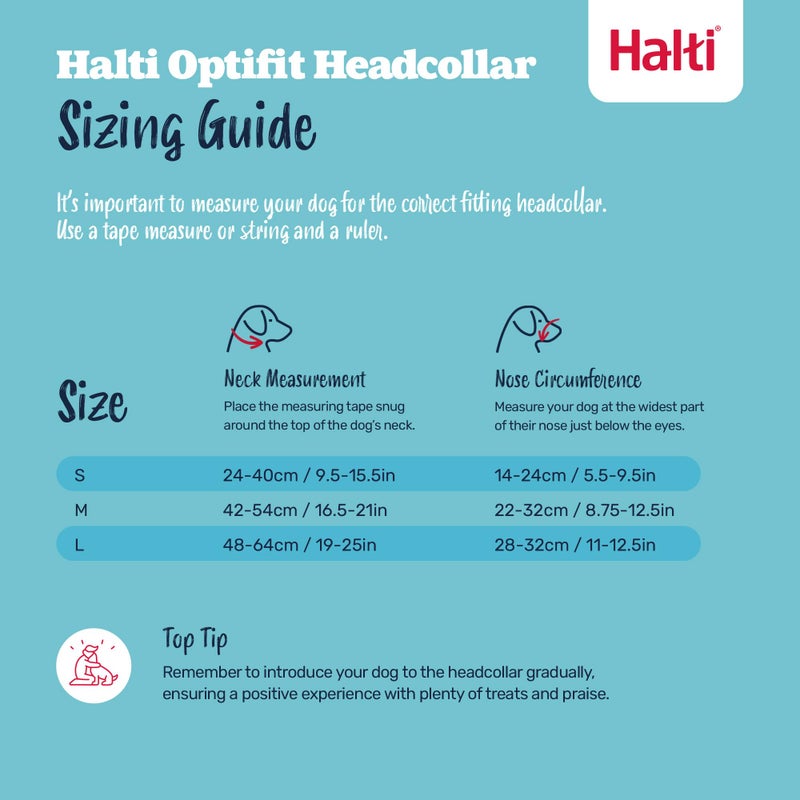 HALTI Optifit Headcollar - To Stop Your Dog Pulling on the Leash. Adjustable, Reflective and Lightweight, with Padded Nose Band. Dog Training Anti-Pull Collar for Medium Dogs (Size Medium) - Image 5