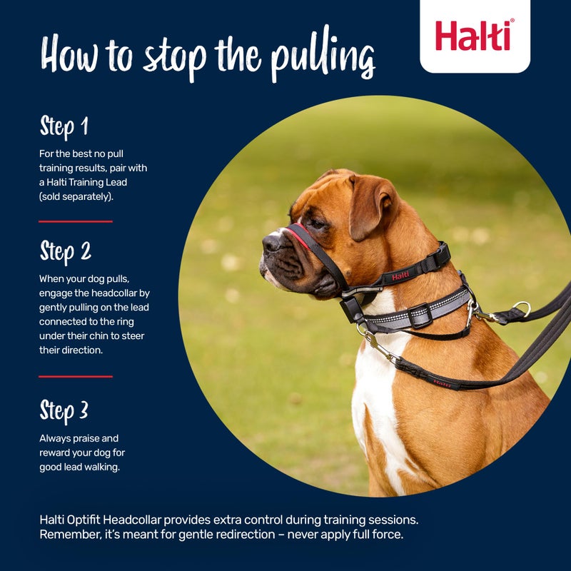 HALTI Optifit Headcollar - To Stop Your Dog Pulling on the Leash. Adjustable, Reflective and Lightweight, with Padded Nose Band. Dog Training Anti-Pull Collar for Medium Dogs (Size Medium) - Image 4